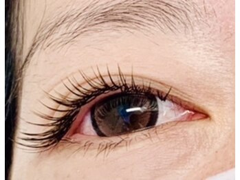 アプリコット(apricott)/オールダークブラウン♪