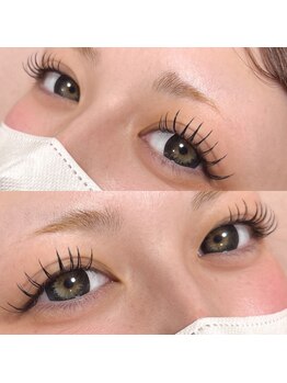 ダリア(Dahlia)/フラット１００本★