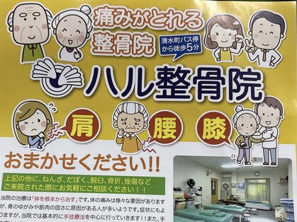 ハル整骨院 ハルカイロプラクティック院の写真