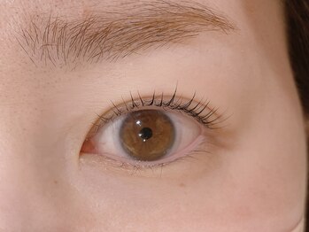 テラスヘア(TERRACE hair)/パリジェンヌラッシュリフト