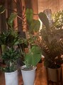 あんるぽ お部屋の中を観葉植物でジャングルにするのが目標です！！