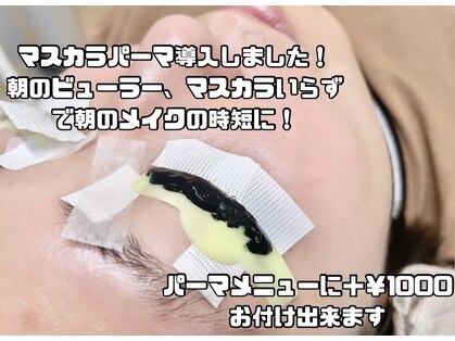 リリン(Ririn)の写真
