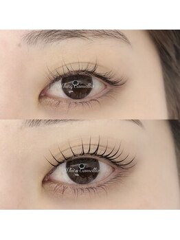 ホワイトカメリア 上本町店(White Camellia)/マツエクサロン/まつげパーマ