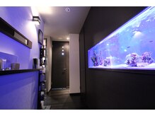 肌イズム つくば店(肌ism)/店内