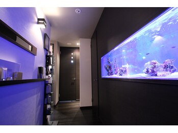 肌イズム つくば店(肌ism)/店内