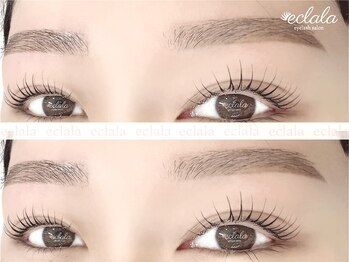 エクララ(eclala)/つげパーマ×HBL眉毛パーマ