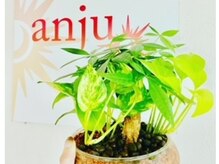 アンジュ(anju)/