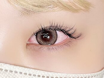 アッカスタイル acca style/Wラッシュ　120本