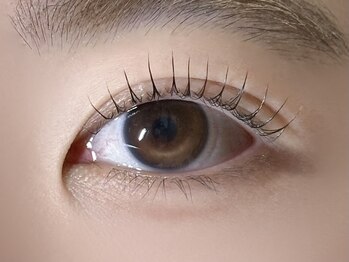 ミイプ(MEPP)/たにわき担当・パリジェンヌ