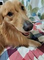 もあまる 津田沼店 動物が大好きで実家のわんちゃんに癒されています。