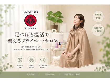 レディーバグ(Lady BUG)の写真