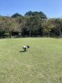 ブリス(BLISS)&nbsp;５歳の息子を溺愛中！歳の離れた末っ子に毎日メロメロです♪