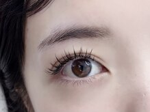 リノモア(LinoMoa)/フラットラッシュ120本