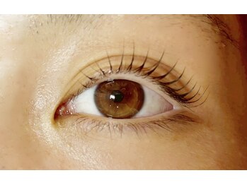 レイマハロ(Lei Mahalo)/