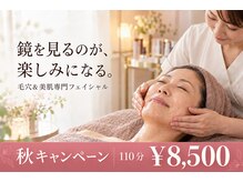 ピュリフィケーション(Purification)