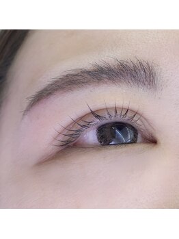 ブリック(BLICK)/話題のロッド