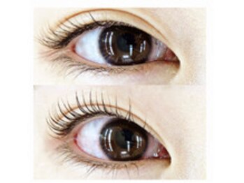 ココラッシュ 大船(cocolash)/★次世代まつ毛パーマ★