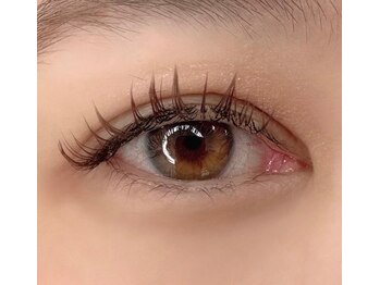プリモアイラッシュ(Primo Eyelash)/2024年オススメ☆秋冬カラー