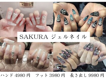 サクラカワイイ(sakura kawaii)の写真