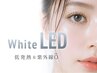 【WhiteLEDラッシュ80本6500円】次回予約5500円/LINE予約6000円