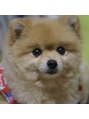 ネイルサロン アイナ(NailSalon Aina) 犬が好きです!
