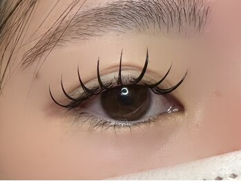 フリー#240(Free#240)/バインドロック240本