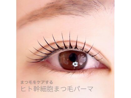 リリィココ(Lily coco.)の写真