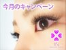 【新規】今月キャンペーン！オフ無料！濃密5Dボリュームラッシュ600本8990円