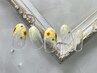 ☆定額Design【ジェルオフ・ケア無料】