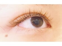 コレット 関目店(colette.)/ブラウンボリュームラッシュ