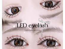 デイジー バイ アルテフィーチェ 梅田(daisy by artefice)/【LEDマツエク上下】♪♪