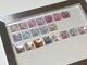 フラワーネイル 小山店(Fleur nail)の写真