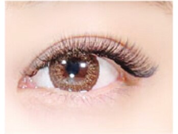 ラッシュプラス(Lash+)/ボリュームラッシュ100束