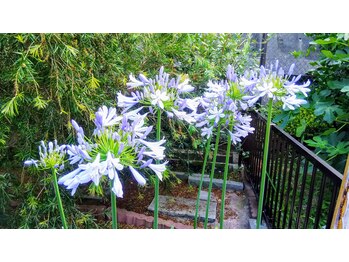 リカ/駐車スペースの一角