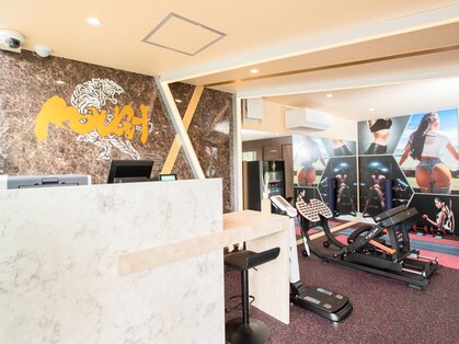 コウガ(KOUGA)の写真