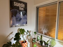 スエード(suede)