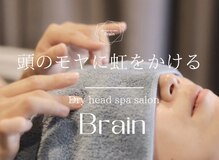 ブレイン(Brain)