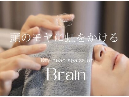 ブレイン(Brain)の写真