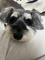 フィロンネイル 蒲田店(filonnail)&nbsp;愛犬に毎日癒されてます！
