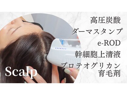リプレサ バイ エステマニア(Ripresa)の写真