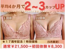 バストサロン メルベイユ(Merveile)