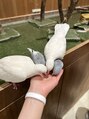 ルネッタプラス(LUNETTA＋)&nbsp;動物が大好きです♪