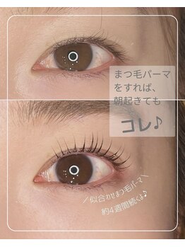 プラスグラッツ 恵比寿(+glatt)/ムーンロッド