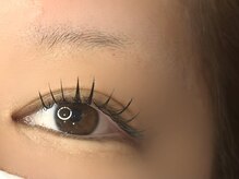 サロン ド ブランシェ(Salon de Branchee)/◇フラットラッシュ120本◇