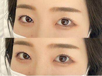 シャルフ(shalf)/