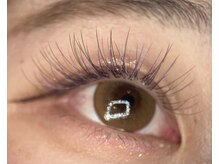 カシェ(cache)/秋カラーデザイン