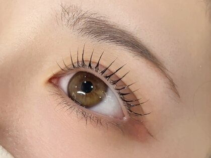 リルベアー(LIL BEAR)の写真