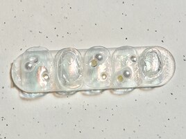 Hand/定額simple design