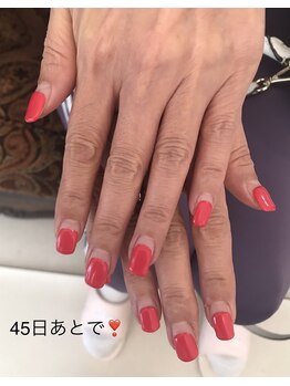 オランダエステティック(Holland Esthetics)/45日！長持ちするネイルサロン