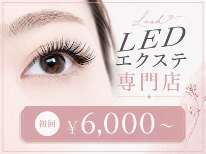 シュシュ(Chouchou)の写真